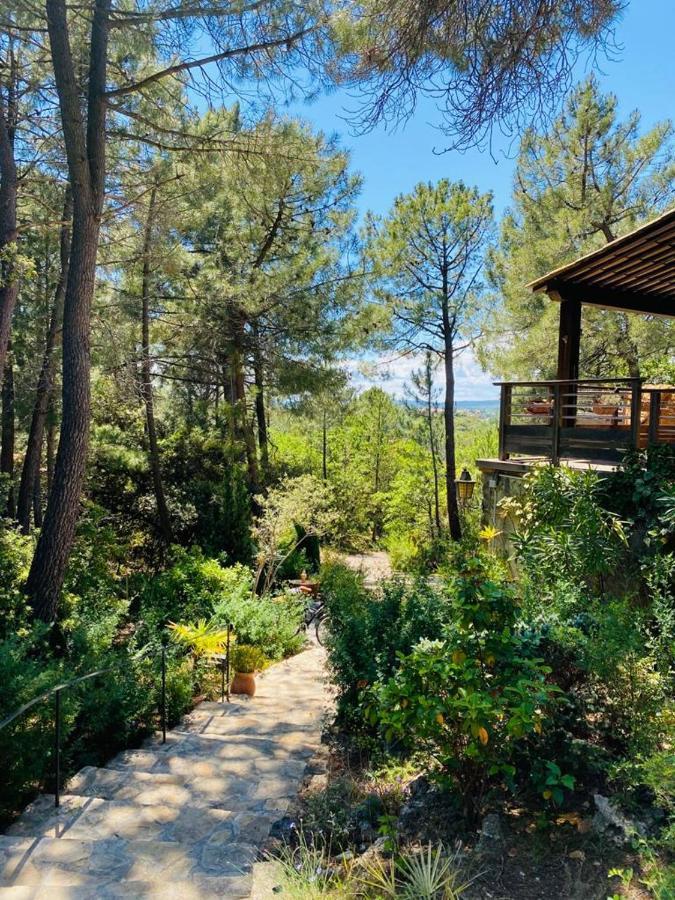 Lou Paradou Lodge Grillon 外观 照片